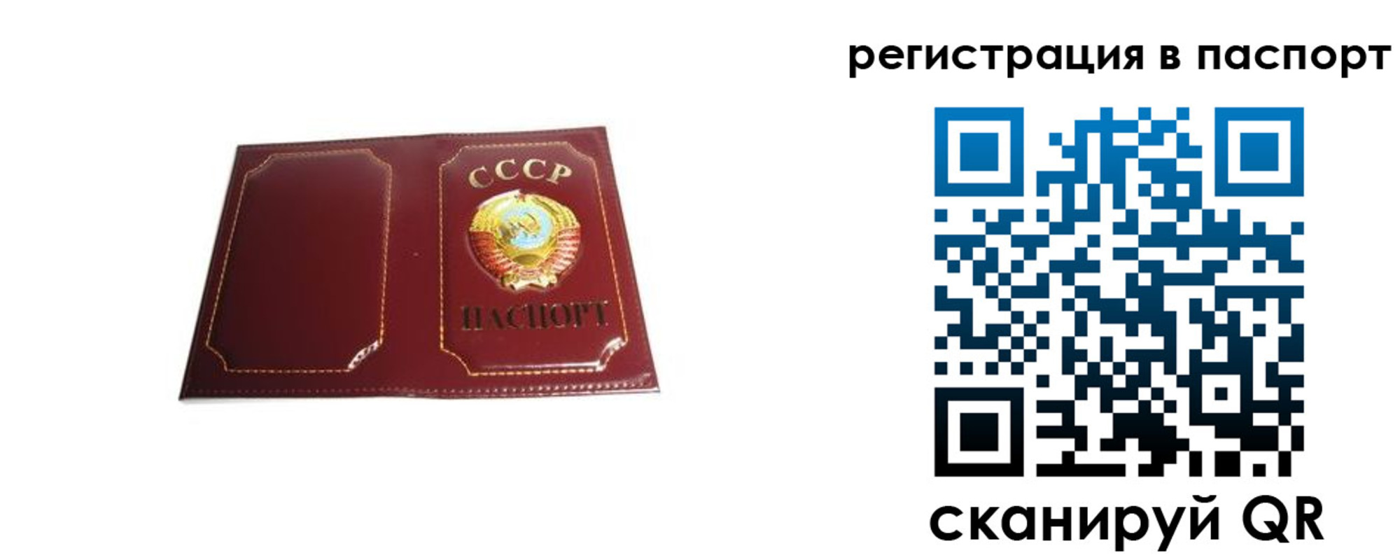 прописка 2025 в Коломне